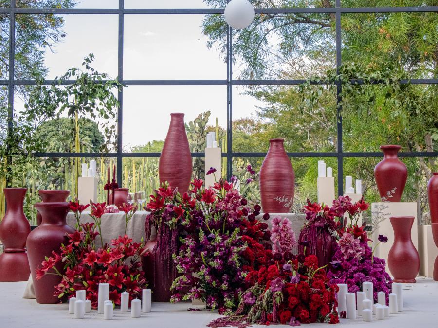 Jardín Etnobiológico de Oaxaca